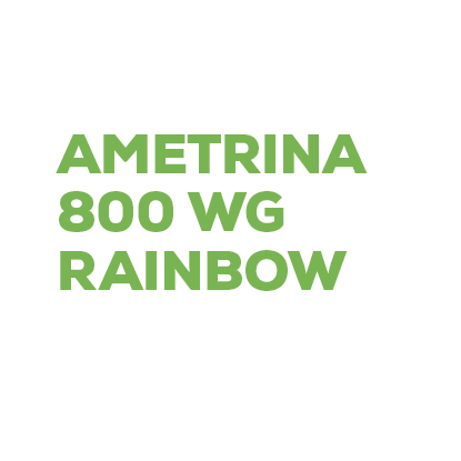 AMETRINA 800 WG RAINBOW