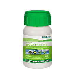 WOLKY 60 WG